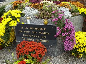 2025 11 01 HOMMAGE A TOUS NOS MORTS D ALGERIE(3)